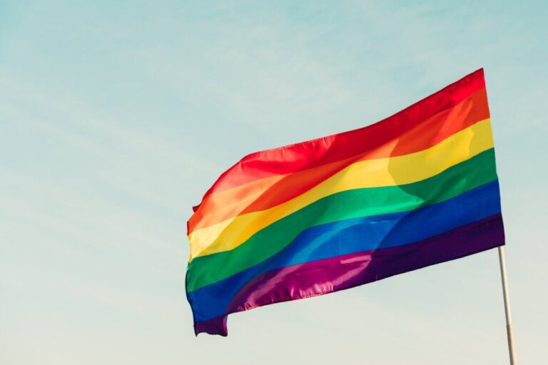 The LGBTIQ+ Movement: What is it and How Did it Start?