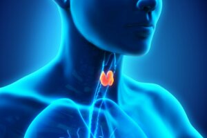 Psychoneuroimmunology and Thyroid Hormones: How Are They Related?