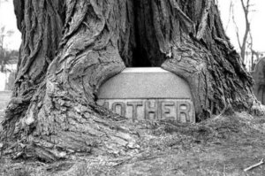 Epitaphs of the Rich and Famous