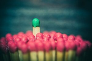 The Definition of Social Power and Its Different Types