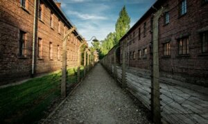 A Fantastic Love Story Amidst the Horrors of Auschwitz