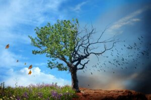 The Importance of Environmental Health