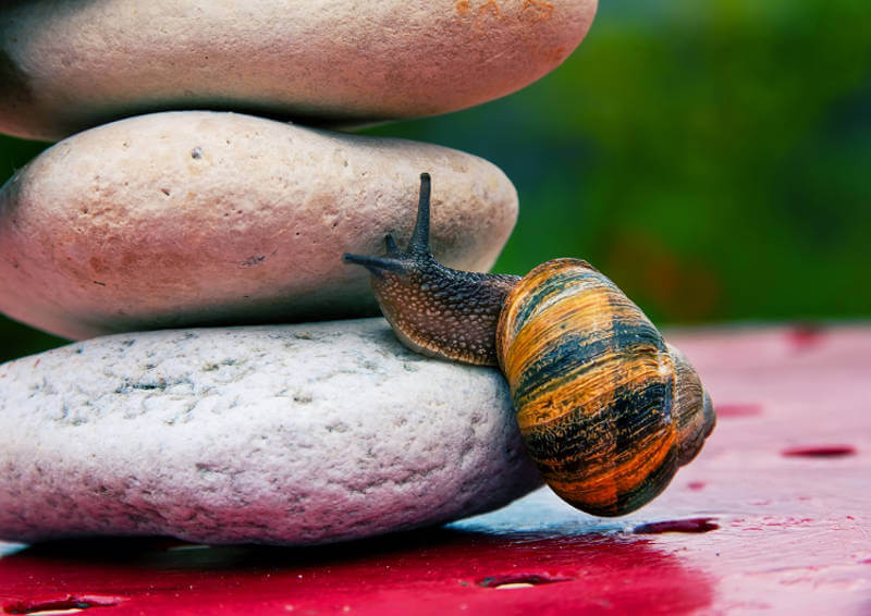 Albert Bandura's Theory of Self-Efficacy