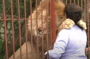 Ana Julia Torres, Saviour of the Animals