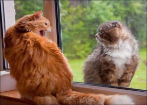 Should You Keep Your Enemies Close?