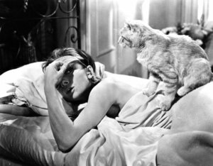 Making Your Bed in the Morning Could Be Bad for Your Health