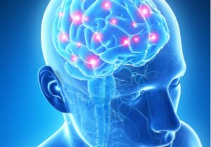 Memory Chips for Your Brain: Science Fiction?