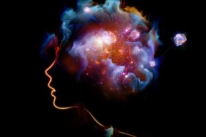 Predictive Mind The Predictive Mind: The Power of Your Brain to Predict the Future