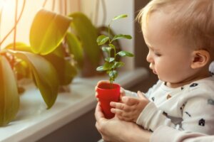 Cognitive Flexibility in Babies and How to Improve It