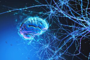 The Brain and the Universe Share Many Common Features