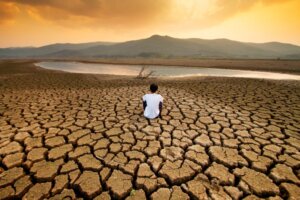 The Impact of Climate Change on Our Mental Health