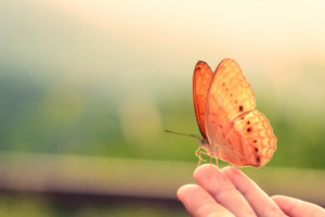 The Tipping Point: How Small Changes Bring About Huge Transformations