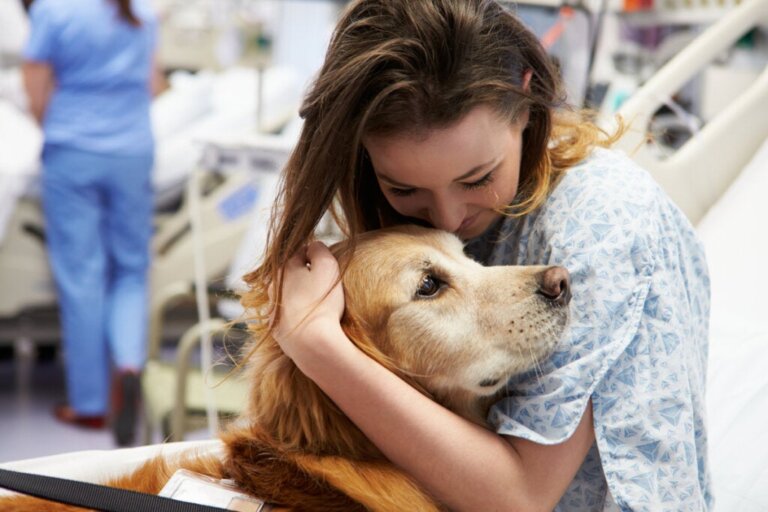 Pet Therapy and Its Benefits
