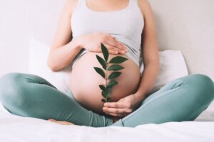 Can Babies Feel Their Mothers' Emotions in the Womb?