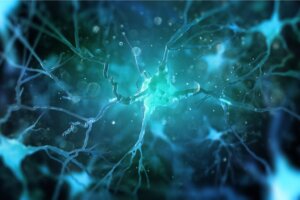 The Glymphatic System Cleans the Brain and Promotes Well-Being