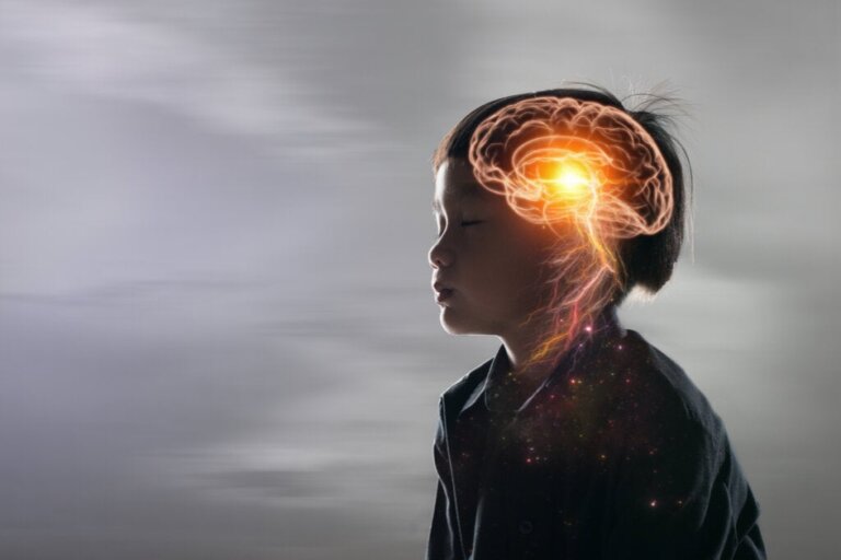 Understanding the Brain of a Child