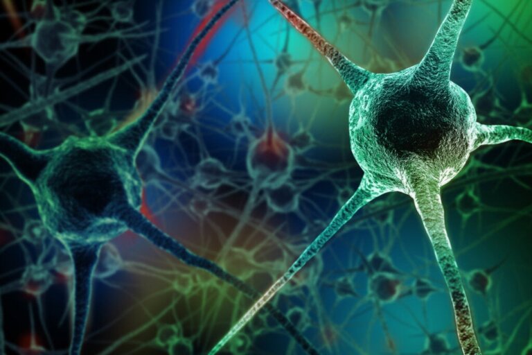 Eight Habits That Kill Neurons
