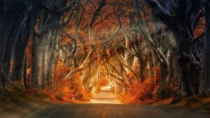 Yūgen: Achieving a Deep Awareness of the Universe
