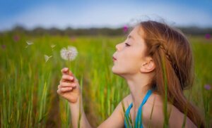 The Precious Legend of the Dandelion