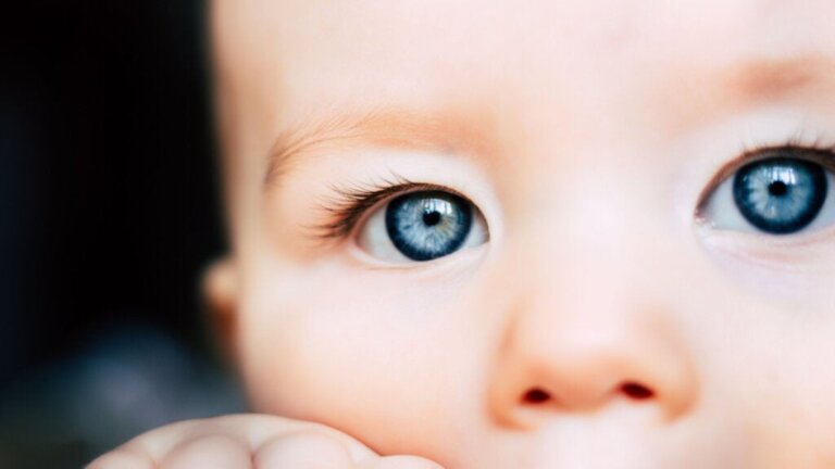 Perceptual Constancy And What Babies Can See That We Can't