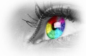 Tetrachromats See Life in 100 Million Colors