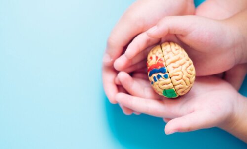 Universal Design for Learning: Opportunities for All