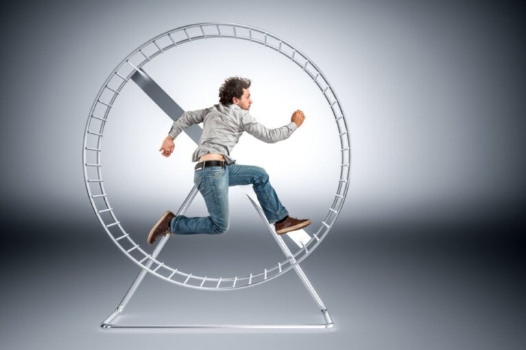 Beautiful view of Hamster Wheel Placement Near Hamster Agility Equipment