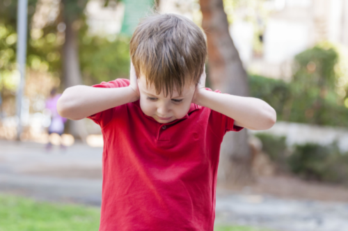 Proactive Emotional Regulation in ASD