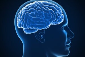 John Horn and His Contributions to the Study of Intelligence
