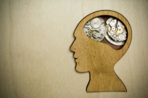 The Social Zeitgeber Theory