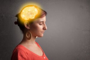 The Plastic Mind: Awakening Your Transformative Power