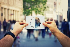 The Idiographic and Nomothetic Approaches to the Study of Personality
