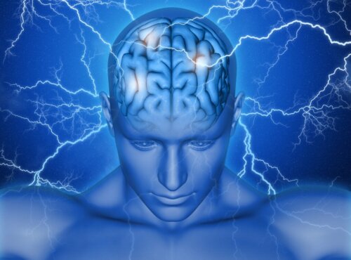 The Supplementary Motor Area of the Brain