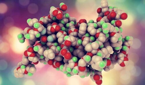 The Functions of Growth Hormone (GH)