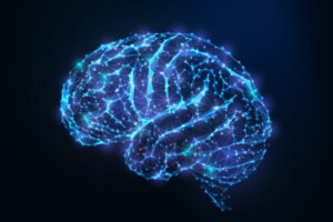 Is there a Link Between Personality and Brain Structure?