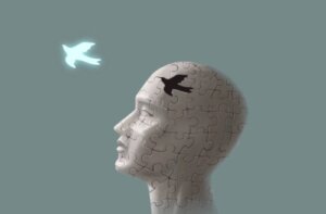 Cognitive Immunity: A Defence Against Harmful Ideas