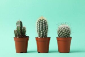 How to Deal with a Toxic Family