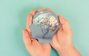 The Four Universal Needs of the Human Being