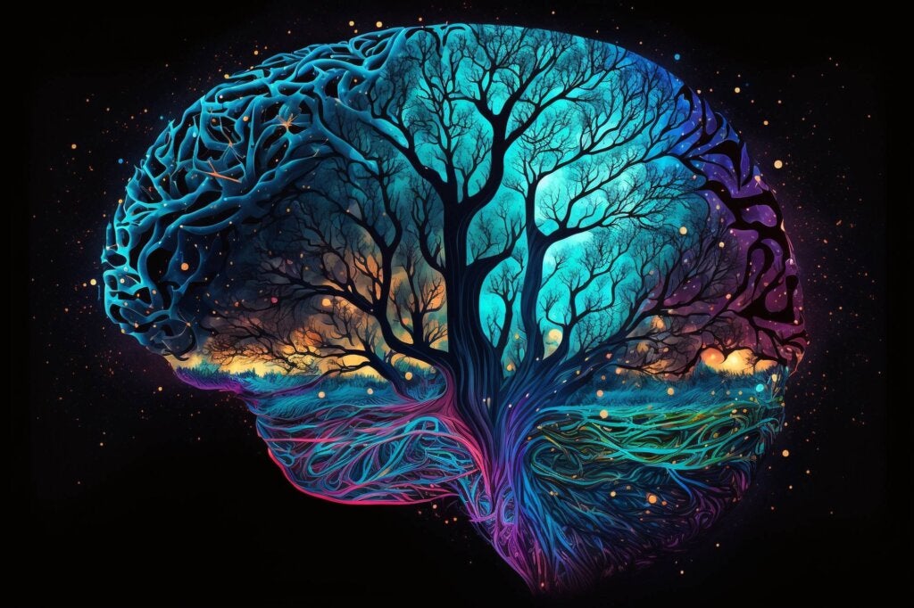 How Does the Human Mind Work?