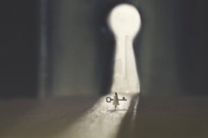 The Philosophy of Freedom: Free Will Vs. Determinism